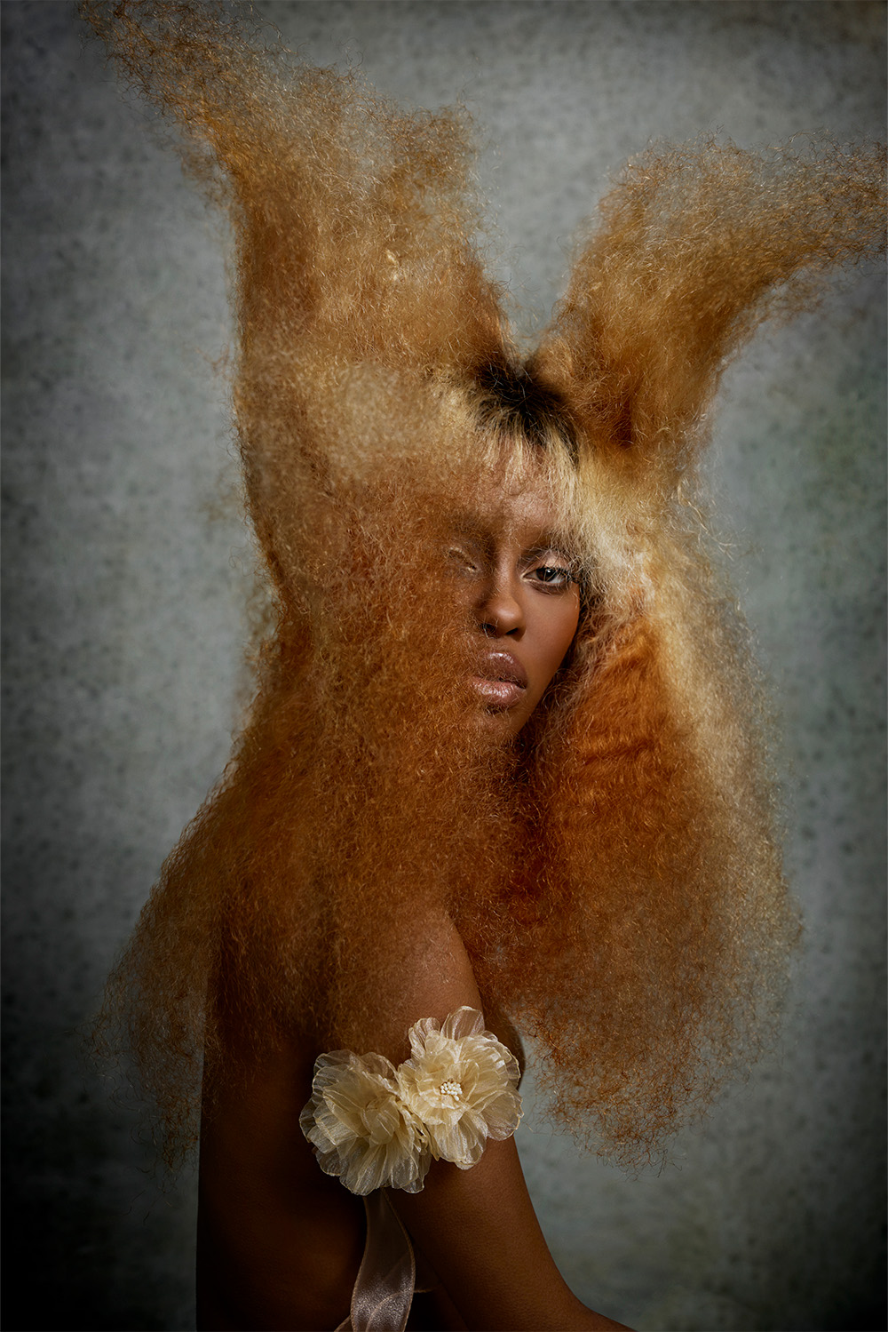 Copper Textured Hair - Danny Pato - Birds Collection